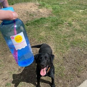 Meet your Posher, Laura